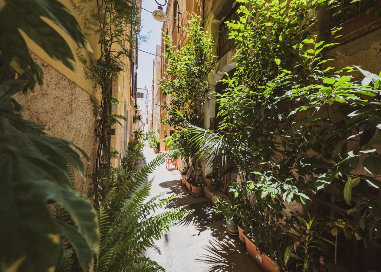 Appartamento Maestrale - Quartiere Castello Cagliari Exterior foto